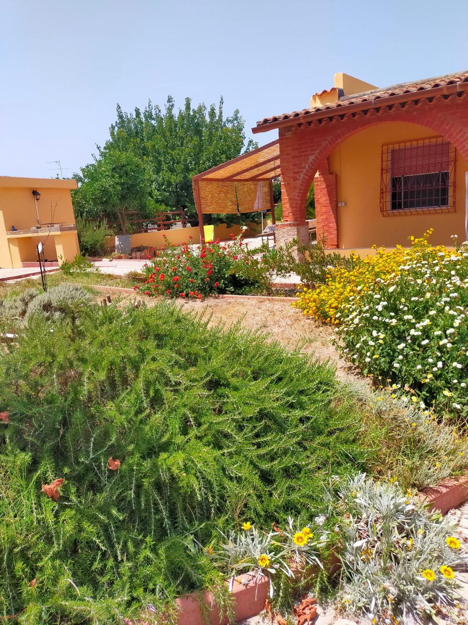 Casa Marina Lu Tuvaraggiu Casa Vacanze Sorso Kültér fotó